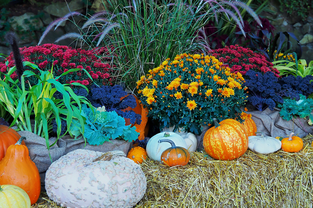 Fall Landscaping Ideas Find That Fall Feeling