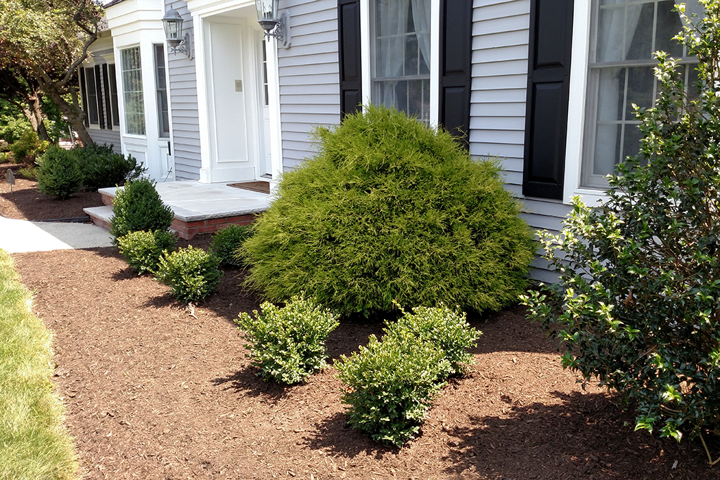 bridgewater testimonial landscaping