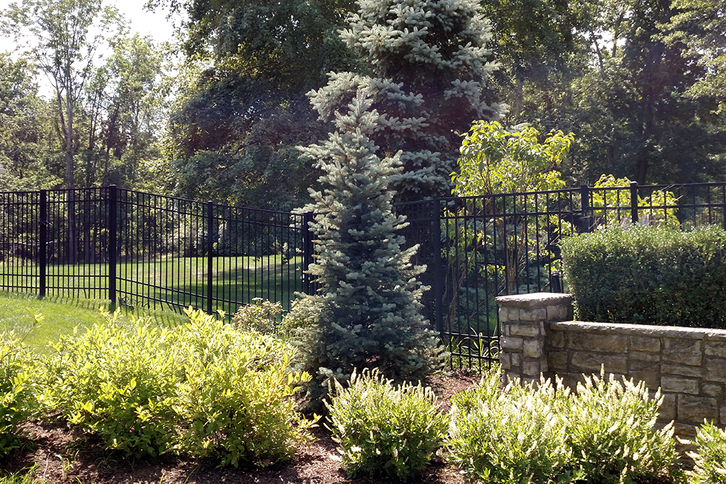 Landscape Design and Lawn Care: Praise from Bridgewater, NJ
