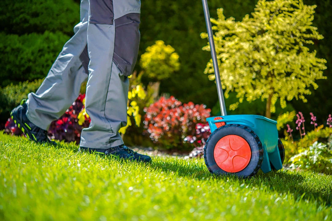 HowtoWinterizeYourLandscaping