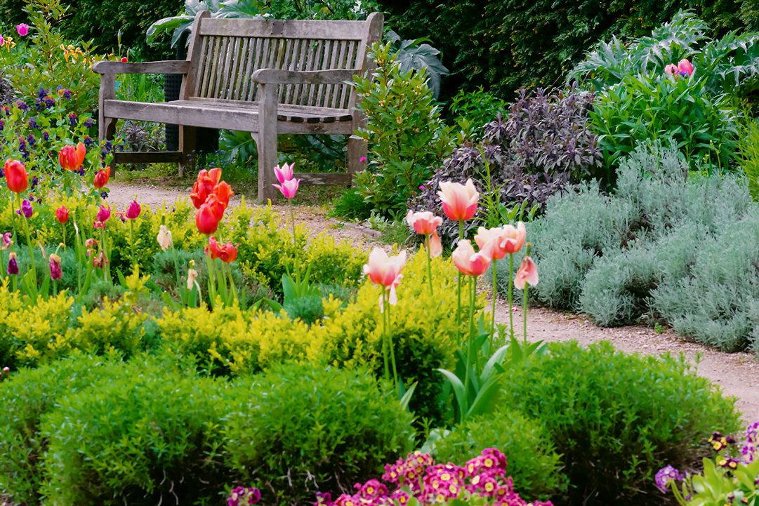 hightech landscaping budget friendly