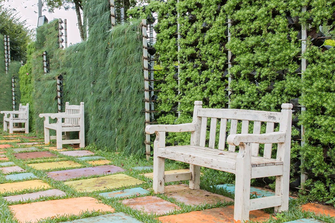 verical garden