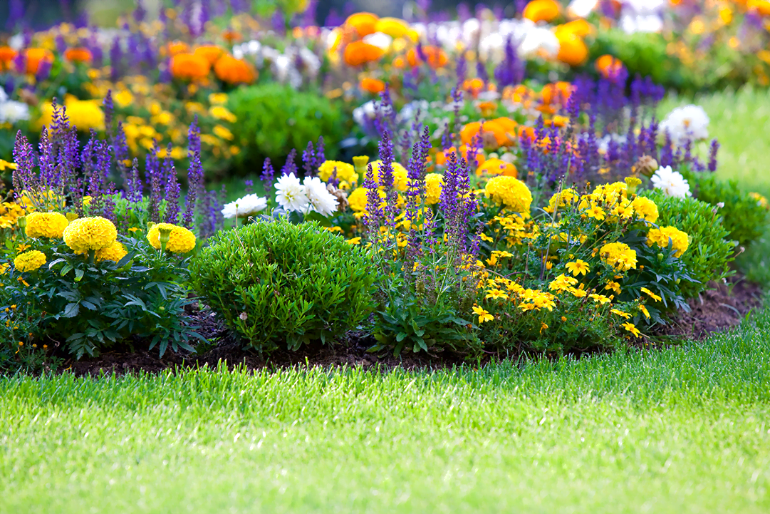 plan your spring landscaping