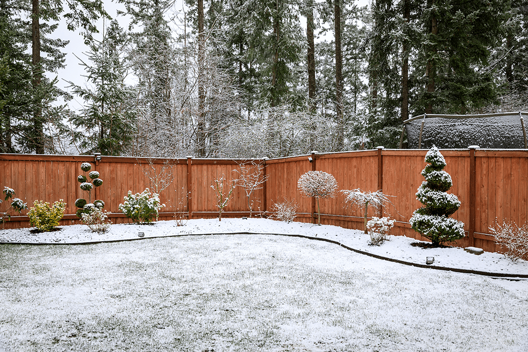 SnowyMess
