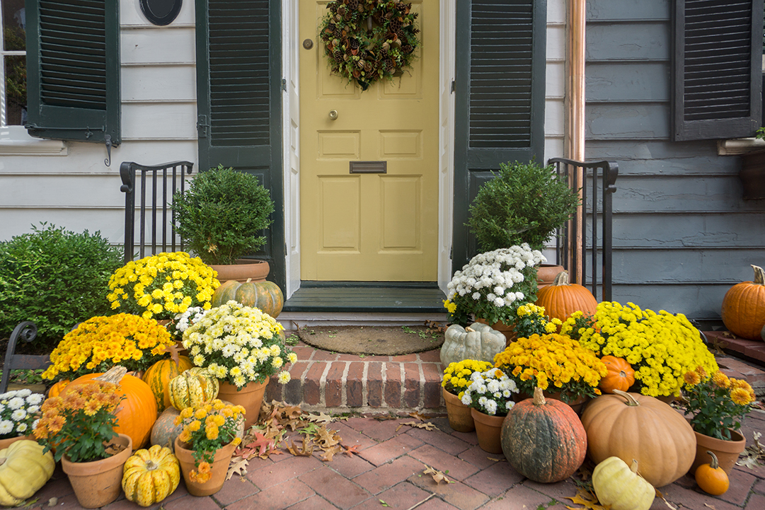 HolidayCurbAppeal