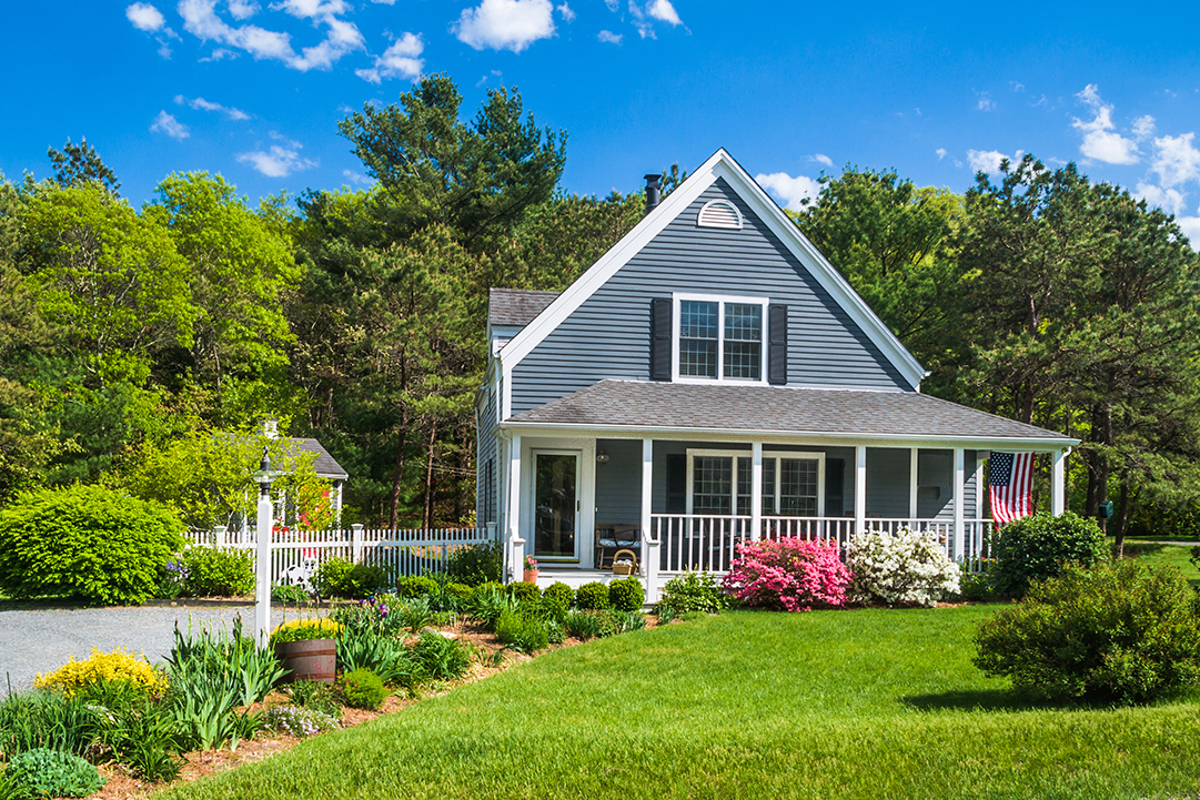 SpringLandscapingCleanup