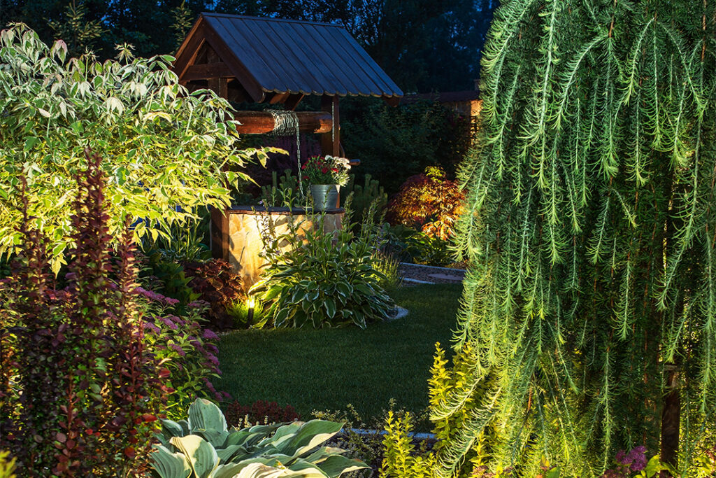 Illuminated Garden at Night
