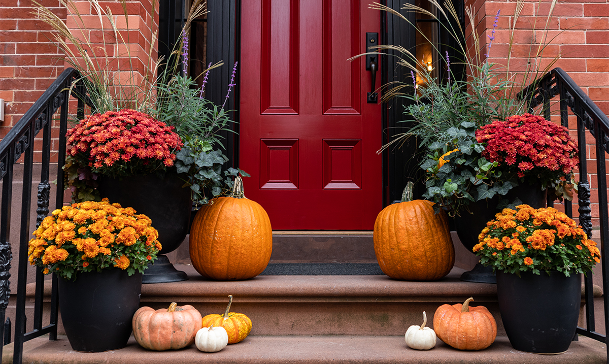 Great Fall Landscape