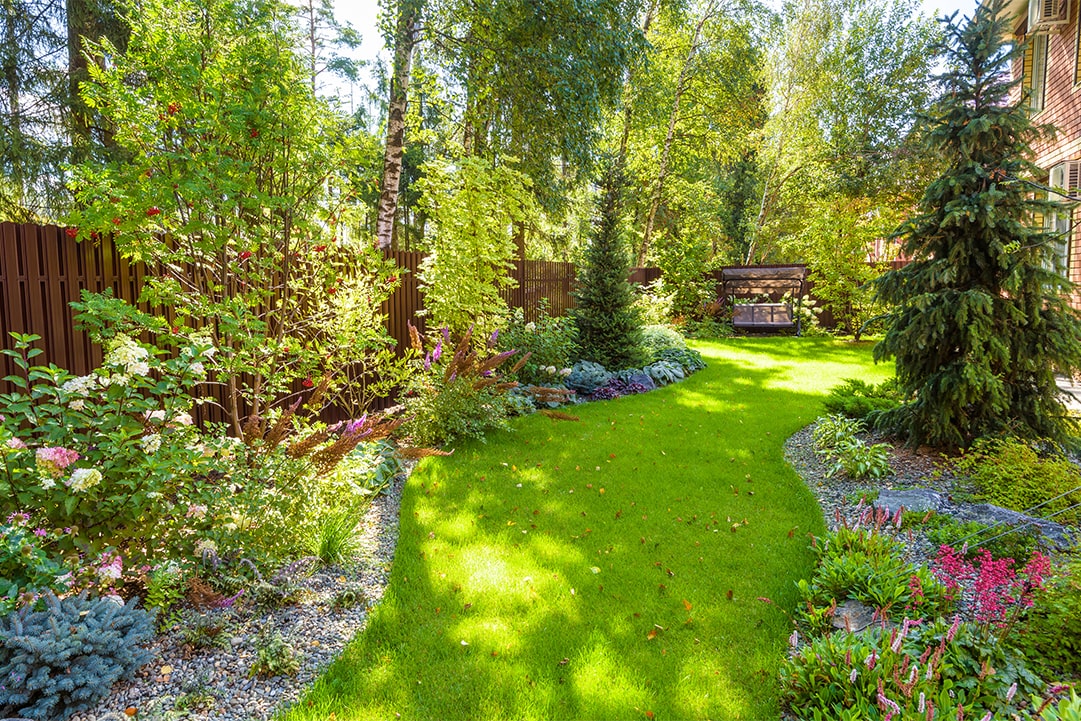Landscaping With Native Plants for a New Jersey Yard