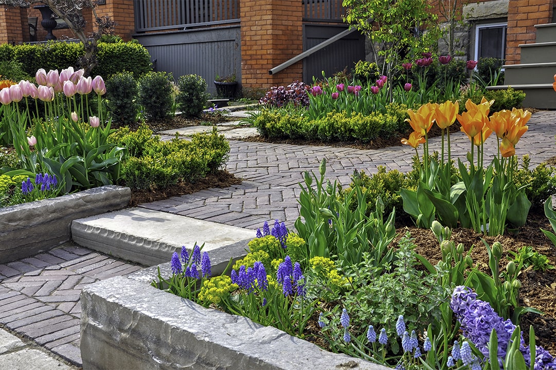 Integrating Low-Maintenance Landscaping With Hardscaping in New Jersey