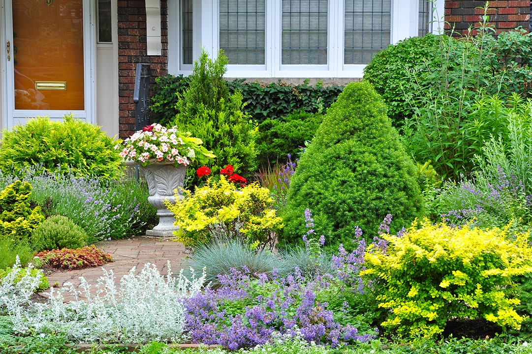 Spring Dreams Start Now: Preparing Your Landscape for a Lush 2024