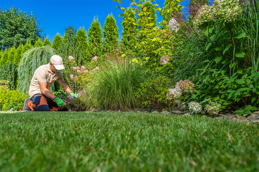 10 NJ Landscaping Laws You Might Not Know