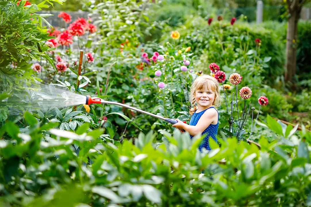 Protecting Plants from Heat Stress